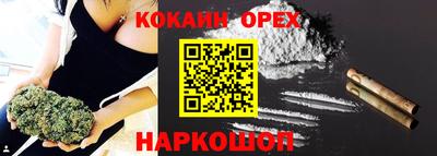 гашик Кулебаки