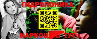 гашик Кулебаки