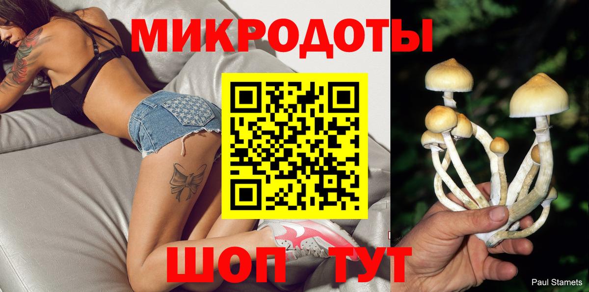 Галлюциногенные грибы Psilocybe Прокопьевск