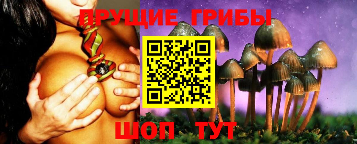 Прокопьевск  Галлюциногенные грибы ЛСД  Вход с VPN 